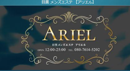 アリエル 求人画像