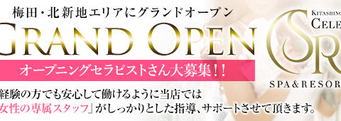 北新地セレブ SPA&RESORT〜セレブスパアンドリゾート 求人画像