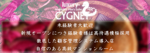 Cygnet(シグネット) 求人画像