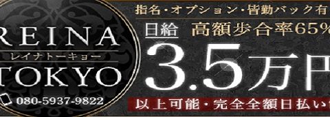 REINA TOKYO~レイナトーキョー 求人画像