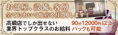 Excellent SPA~エクセレントスパ 求人画像