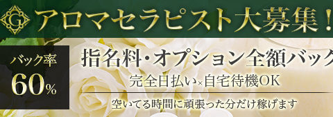 healing spa GINZA~ヒーリングスパ ギンザ 求人画像