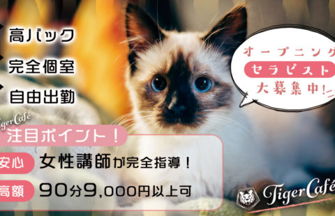 Tiger Cafe〜タイガーカフェ 求人画像