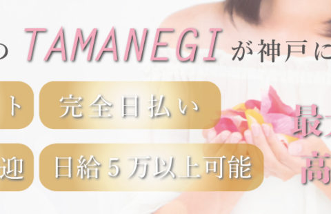 メンズエステ タマネギ 神戸店 求人画像
