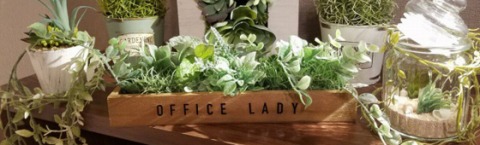 office lady-オフィスレディ 求人画像
