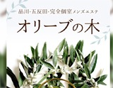 品川・五反田・完全個室メンズエステ オリーブの木 求人画像