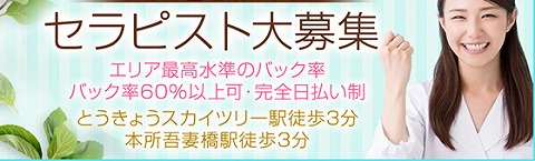 MINT SPA~ミントスパ 求人画像
