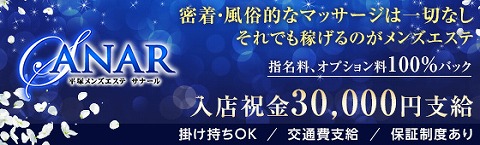 Sanar~サナール 求人画像