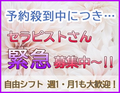 琴似メンズエステ ELMIRA – エルミラ – 求人画像