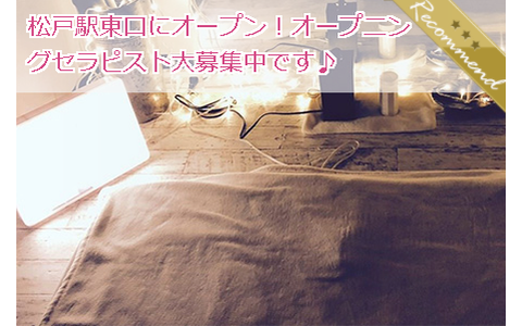 1LDKsecret room matsudo 求人画像