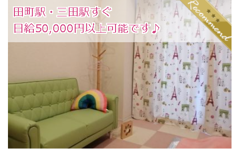 三毛猫エステ 求人画像