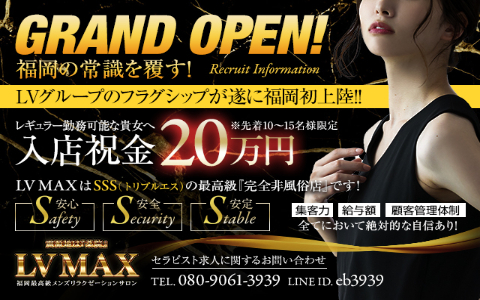 LV MAX(レベルマックス) 求人画像