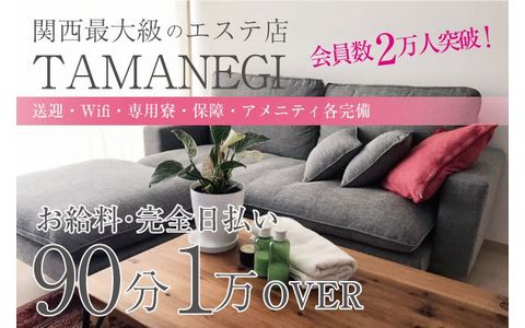 TAMANEGI(タマネギ) 京都店 求人画像