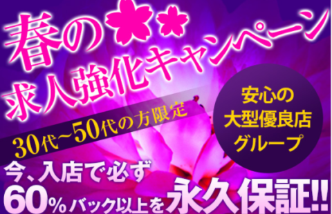 BELLA DONNA(ベラドンナ) 求人画像
