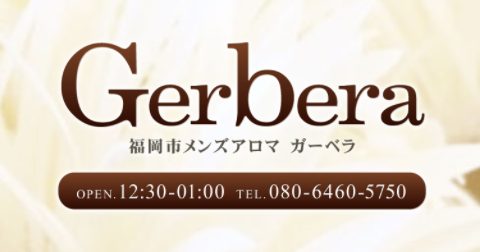 Garbera-ガーベラ 求人画像