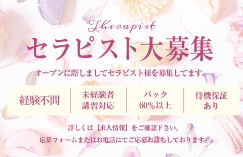 Sylph〜シルフ〜 求人画像