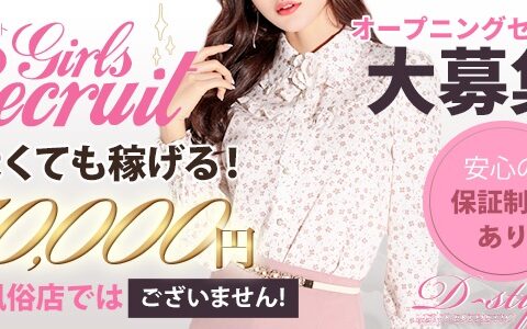D-style 求人画像