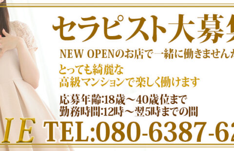 新宿SERIE~セリエ~ 求人画像