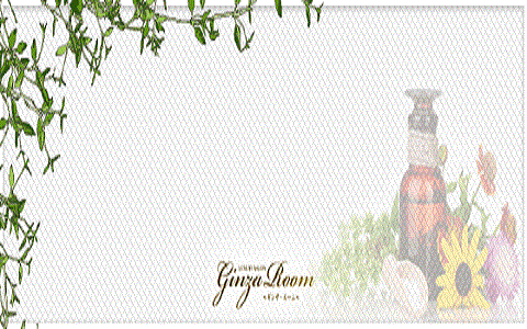 Ginza Room～銀座ルーム 求人画像