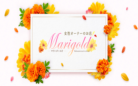 marigold （マリーゴールド） 求人画像