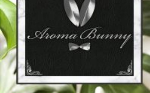 Aroma Bunny (アロマ バニー) 求人画像