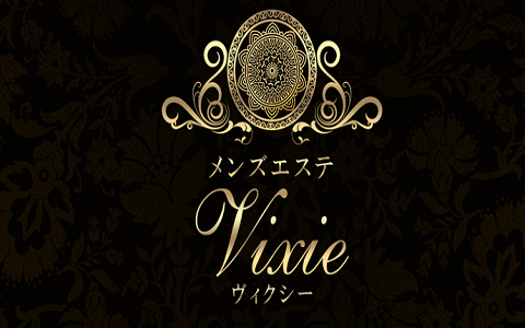Vixie〜ヴィクシー〜 求人画像