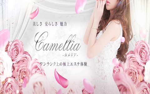 Camellia～カメリア 求人画像