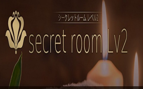 secret room Lv2 求人画像