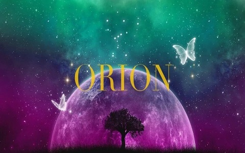 ORION (オリオン) 求人画像