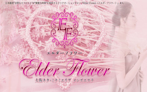 Elder Flower (エルダーフラワー) 求人画像