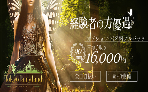 Tokyo fairy land (東京フェアリーランド) 求人画像
