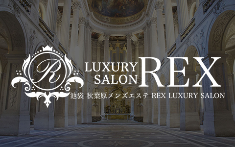 Luxury Salon REX 〜レックス 秋葉原ルーム 求人画像