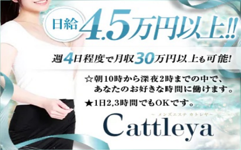 Cattleya (カトレヤ) 求人画像